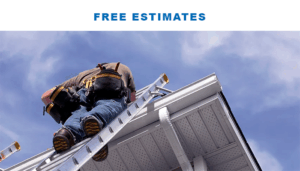 FC Planet Renovation Ltd photo 6